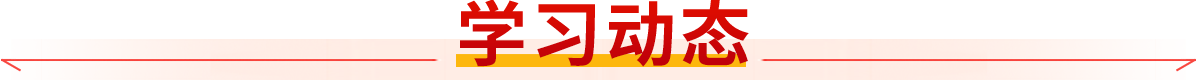 35538129